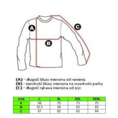 U.S. POLO ASSN. bluza męska BLUSP02 szara | Sklep GriShop.eu | Bluzy