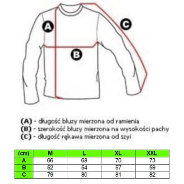 GEOGRAPHICAL NORWAY  Bluza męska szara z kapturem BLGN4
