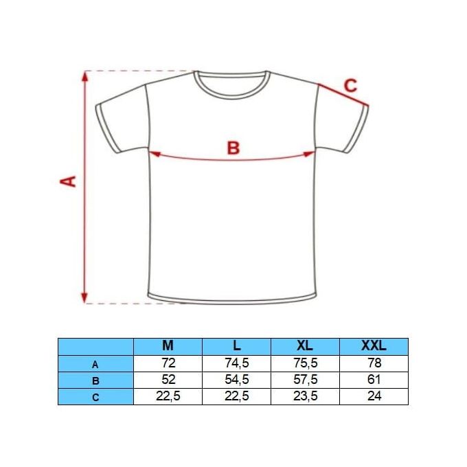AMERIGO VESPUCCI T-shirt Polo męski biała w paski AV4 | Sklep GriShop.eu | Koszulki