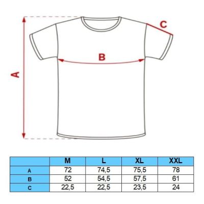 AMERIGO VESPUCCI T-shirt Polo męski granatowy, kolorowe paski AV14 | Sklep GriShop.eu | Koszulki