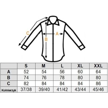 DANIEL BESSI Koszula męska fb955 biała | Sklep GriShop.eu | Koszule 2