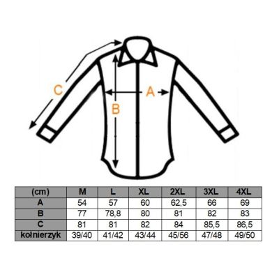 DANIEL BESSI Koszula męska fb042 biała w drobny wzór, efekt jedwabiu | Sklep GriShop.eu | Koszule