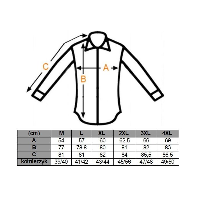 DANIEL BESSI Koszula męska fb162 beżowa, paisley, kwiaty, efekt jedwabiu | Sklep GriShop.eu | Koszule