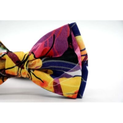 GIOVANNI PERA elegancka mucha muszka D609 kolorowa w kwiaty | Sklep GriShop.eu | Muszki