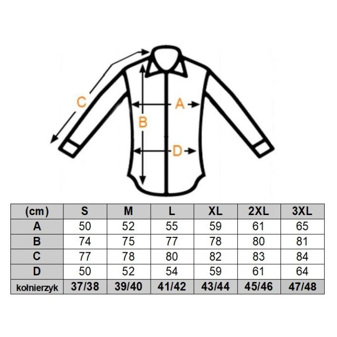 DANIEL BESSI Koszula męska fb091 zespoły muzyczne, czarna, rock, metal i inne | Sklep GriShop.eu | Koszule