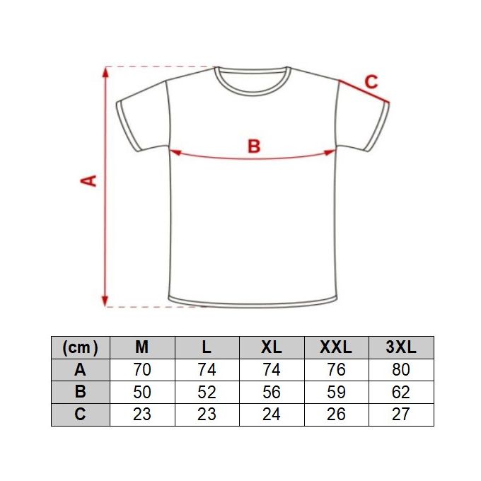 R2 AMSTERDAM T-shirt polo męski TRA2 niebieski, gładki | Sklep GriShop.eu | Koszulki