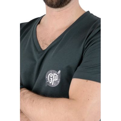 GIOVANNI PERA T-shirt męski szary D617-S w szpic, serek, SŁOJE, logo, elastan | Sklep GriShop.eu | Koszulki