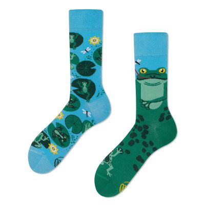 MANY MORNINGS skarpetki wesołe kolorowe, żaby, Froggy Frog | Sklep GriShop.eu | Galanteria i dodatki