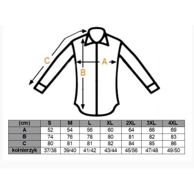 DANIEL BESSI Koszula męska na spinki biała fb002 | Sklep GriShop.eu | Koszule