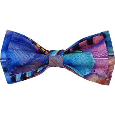 GIOVANNI PERA elegancka mucha muszka D630 kolorowa w pióra, wesoła, ptak | Sklep GriShop.eu | Muszki