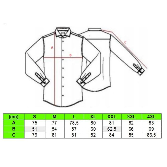 DANIEL BESSI Koszula męska fb540 ekskluzywna róże kwiaty kolorowa | Sklep GriShop.eu | Koszule