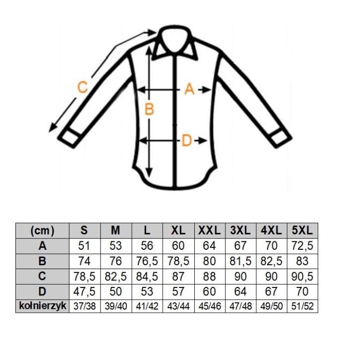 GIOVANNI PERA Koszula męska K018 Einstein, biała, czarna, nauka | Sklep GriShop.eu | Koszule