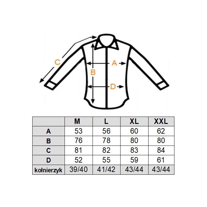 DANIEL BESSI Koszula męska fb045 biała, wzór, tłoczony, IRON | Sklep GriShop.eu | Koszule