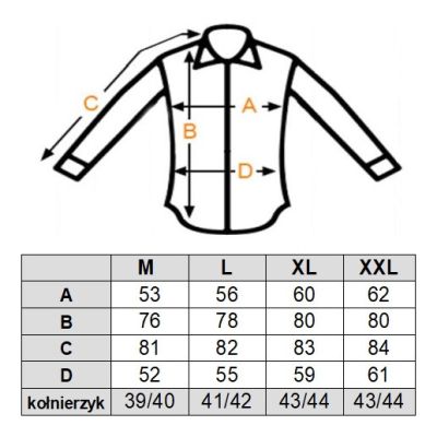 DANIEL BESSI Koszula męska fb045 biała, wzór, tłoczony, IRON | Sklep GriShop.eu | Koszule