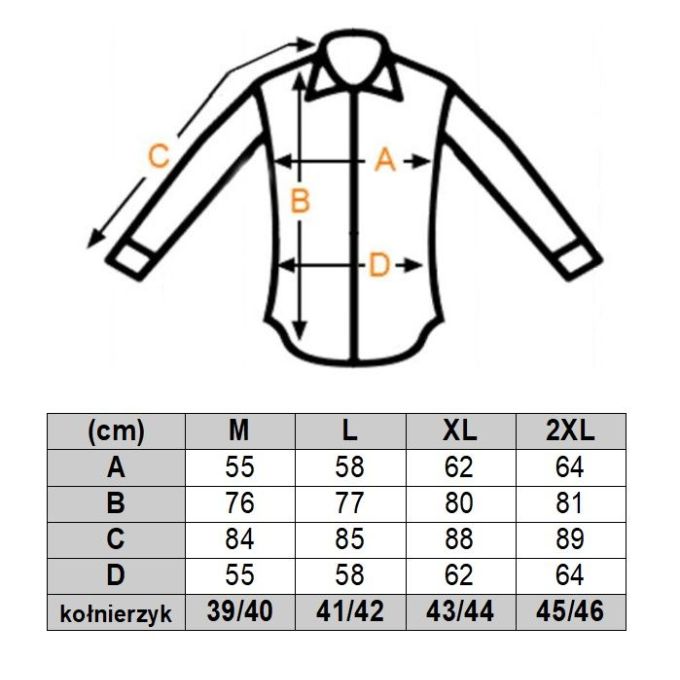 DANIEL BESSI Koszula męska fb188 czarna, wzór, drobne groszki, kieszonka, IRON | Sklep GriShop.eu | Koszule