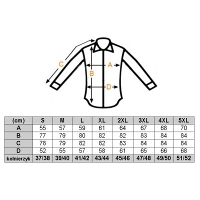 GIOVANNI PERA Koszula męska GP414 kolorowa, kwiaty, paisley, wesoła, folklor | Sklep GriShop.eu | Koszule