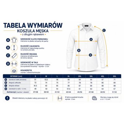 DANIEL BESSI Koszula męska fb023 zielona, lycra | Sklep GriShop.eu | Koszule