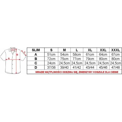 DANIEL BESSI Koszula męska fb099 | Grishop | Koszule