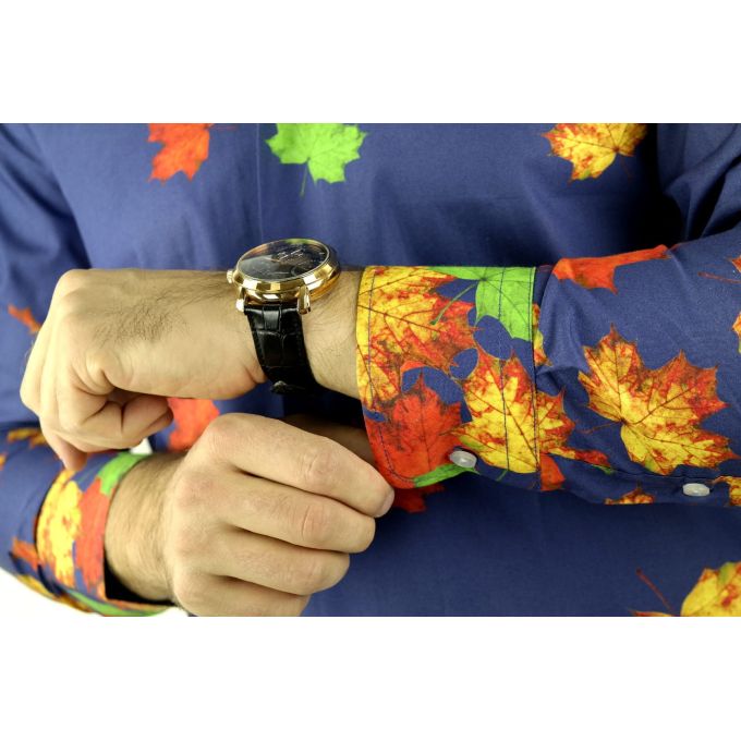 HARVEY JOHNSON Koszula męska HJ705 | Grishop | Koszule