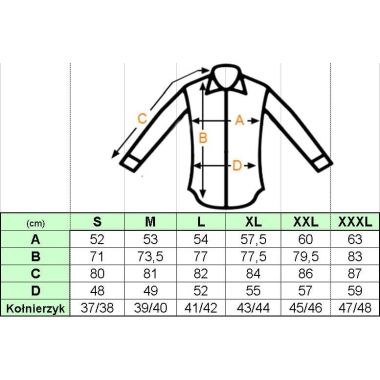 GIOVANNI PERA Koszula męska GP904 | Sklep GriShop.eu | Koszule 2
