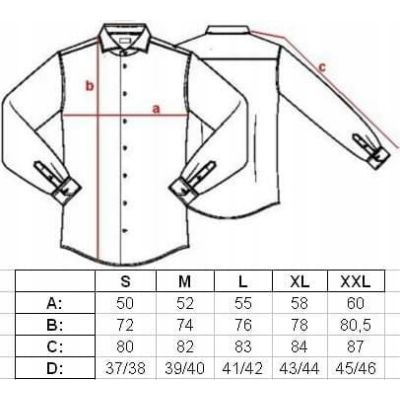 HARVEY JOHNSON Koszula męska HJ145 | Grishop | Koszule