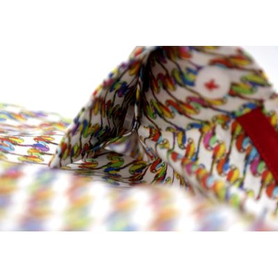 DANIEL BESSI Koszula męska fb548 kolorowa W PAPUGI | Sklep GriShop.eu | Koszule